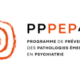 PPPEP48 logo